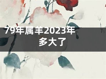 79年属羊2023年多大了