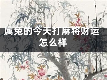 属兔的今天打麻将财运怎么样