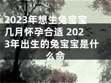 2023年想生兔宝宝几月怀孕合适 2023年出生的兔宝宝是什么命
