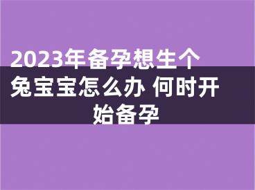 2023年备孕想生个兔宝宝怎么办 何时开始备孕