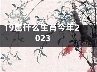 19属什么生肖今年2023