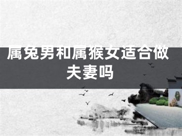 属兔男和属猴女适合做夫妻吗