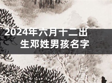 2024年六月十二出生邓姓男孩名字