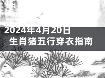 2024年4月20日生肖猪五行穿衣指南