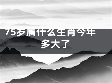 75岁属什么生肖今年多大了