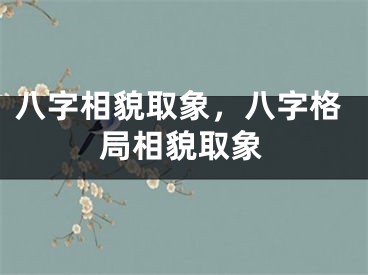 八字相貌取象，八字格局相貌取象