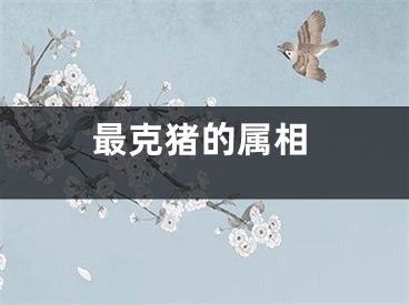 最克猪的属相