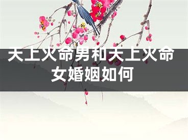 天上火命男和天上火命女婚姻如何