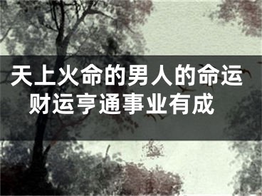天上火命的男人的命运 财运亨通事业有成