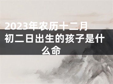2023年农历十二月初二日出生的孩子是什么命 