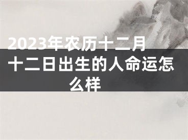 2023年农历十二月十二日出生的人命运怎么样 