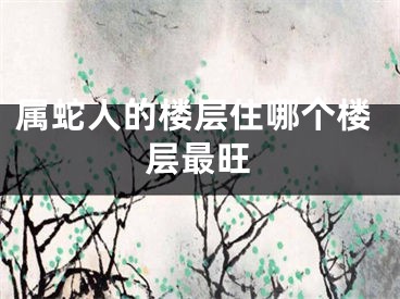 属蛇人的楼层住哪个楼层最旺