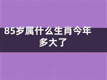85岁属什么生肖今年多大了