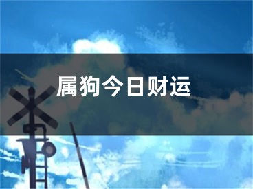 属狗今日财运