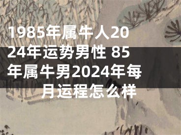 1985年属牛人2024年运势男性 85年属牛男2024年每月运程怎么样