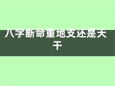 八字断命重地支还是天干