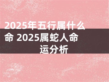 2025年五行属什么命 2025属蛇人命运分析
