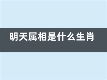 明天属相是什么生肖