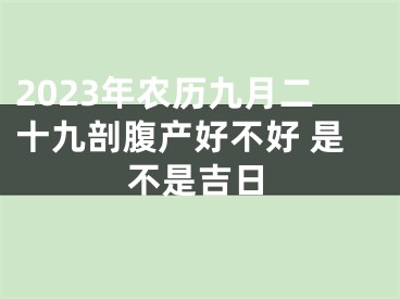 2023年农历九月二十九剖腹产好不好 是不是吉日