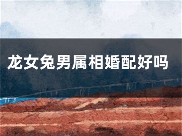 龙女兔男属相婚配好吗