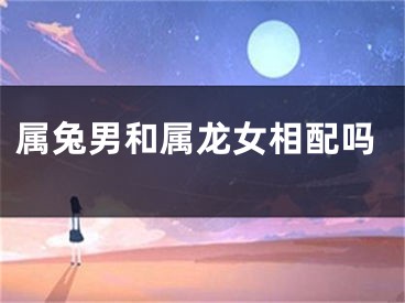 属兔男和属龙女相配吗