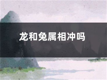 龙和兔属相冲吗