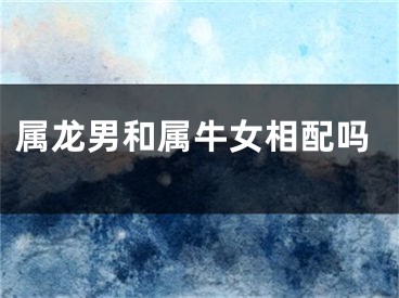 属龙男和属牛女相配吗