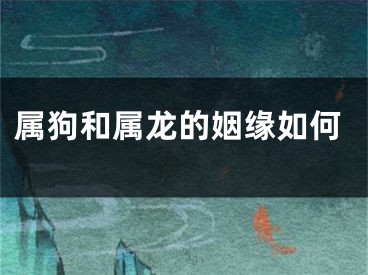 属狗和属龙的姻缘如何