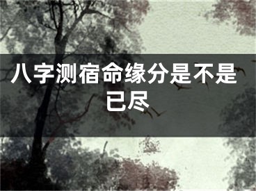 八字测宿命缘分是不是已尽
