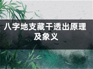 八字地支藏干透出原理及象义