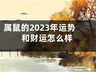 属鼠的2023年运势和财运怎么样