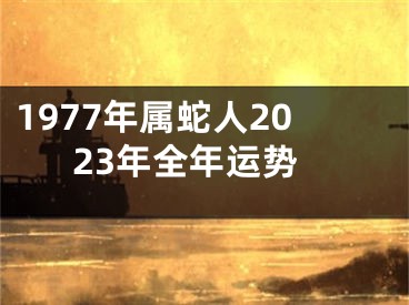 1977年属蛇人2023年全年运势