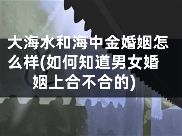 大海水和海中金婚姻怎么样(如何知道男女婚姻上合不合的)
