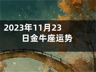 2023年11月23日金牛座运势