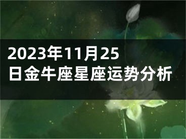 2023年11月25日金牛座星座运势分析