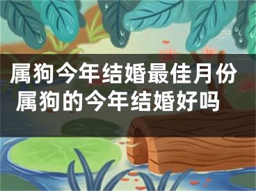属狗今年结婚最佳月份 属狗的今年结婚好吗