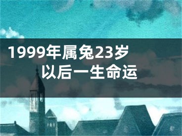 1999年属兔23岁以后一生命运