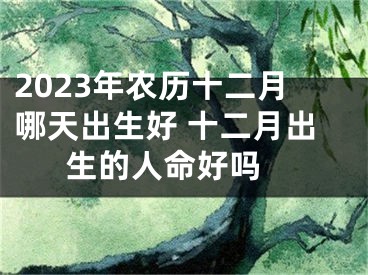 2023年农历十二月哪天出生好 十二月出生的人命好吗 