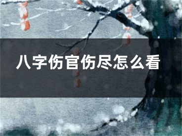 八字伤官伤尽怎么看