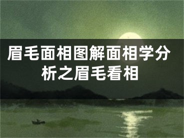 眉毛面相图解面相学分析之眉毛看相