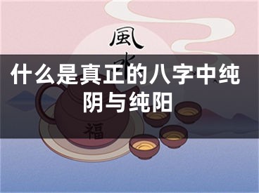 什么是真正的八字中纯阴与纯阳