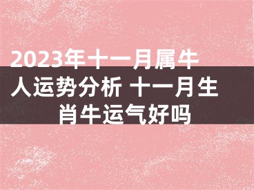 2023年十一月属牛人运势分析 十一月生肖牛运气好吗