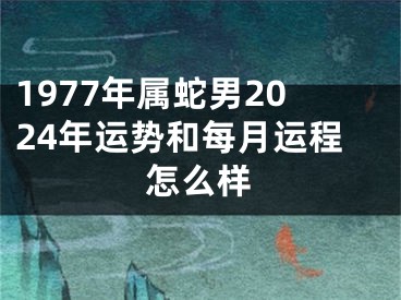 1977年属蛇男2024年运势和每月运程怎么样