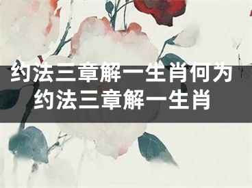 约法三章解一生肖何为约法三章解一生肖