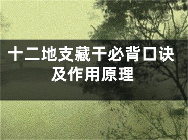十二地支藏干必背口诀及作用原理