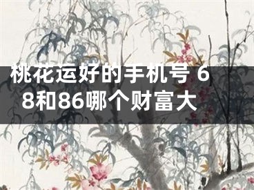 桃花运好的手机号 68和86哪个财富大
