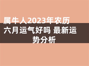 属牛人2023年农历六月运气好吗 最新运势分析