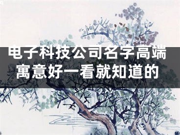 电子科技公司名字高端寓意好一看就知道的