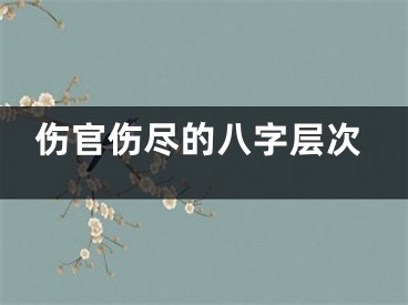 伤官伤尽的八字层次