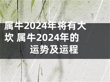 属牛2024年将有大坎 属牛2024年的运势及运程